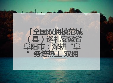 全国双拥模范城（县）巡礼安徽省阜阳市：深耕“阜”务培热土 双拥之花向“阳”开