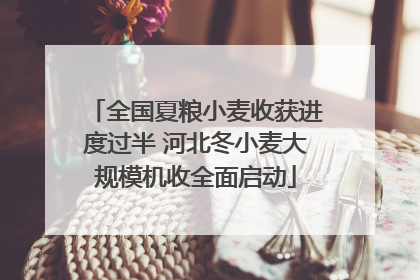 全国夏粮小麦收获进度过半 河北冬小麦大规模机收全面启动