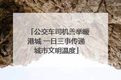 公交车司机善举暖港城 一日三事传递城市文明温度