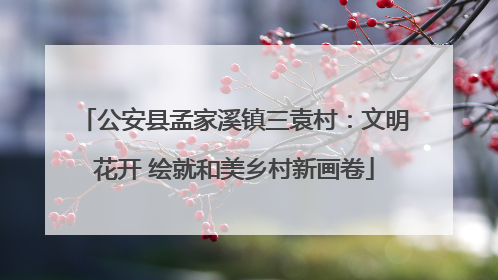 公安县孟家溪镇三袁村：文明花开 绘就和美乡村新画卷