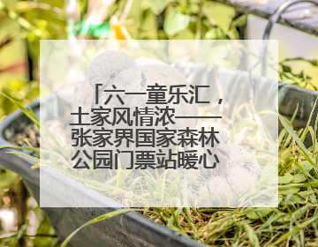 六一童乐汇，土家风情浓——张家界国家森林公园门票站暖心宠游客