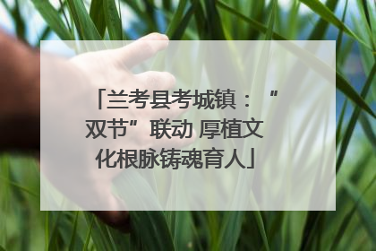 兰考县考城镇：“双节”联动 厚植文化根脉铸魂育人