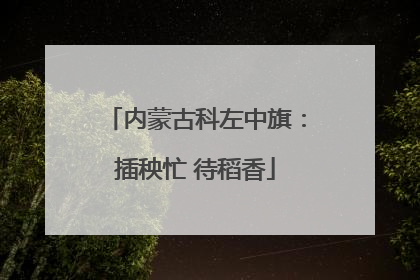 内蒙古科左中旗：插秧忙 待稻香
