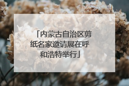 内蒙古自治区剪纸名家邀请展在呼和浩特举行