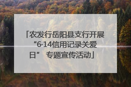 农发行岳阳县支行开展“6·14信用记录关爱日” 专题宣传活动