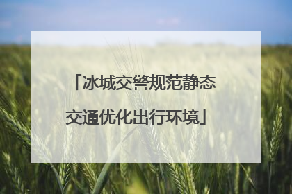冰城交警规范静态交通优化出行环境