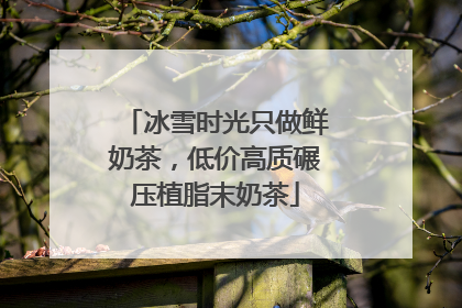 冰雪时光只做鲜奶茶，低价高质碾压植脂末奶茶
