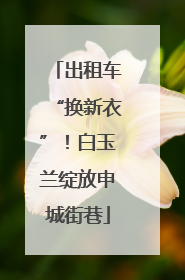 出租车“换新衣”！白玉兰绽放申城街巷