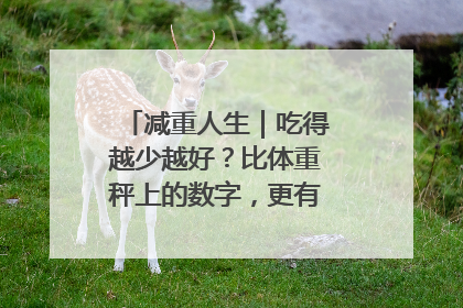 减重人生｜吃得越少越好？比体重秤上的数字，更有意义的是什么？