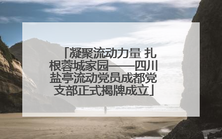 凝聚流动力量 扎根蓉城家园——四川盐亭流动党员成都党支部正式揭牌成立