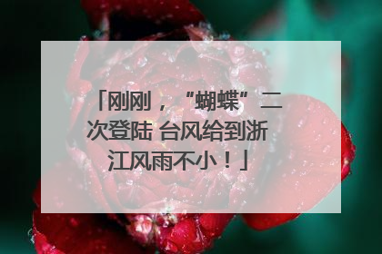 刚刚，“蝴蝶”二次登陆 台风给到浙江风雨不小！