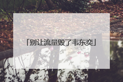 别让流量毁了韦东奕