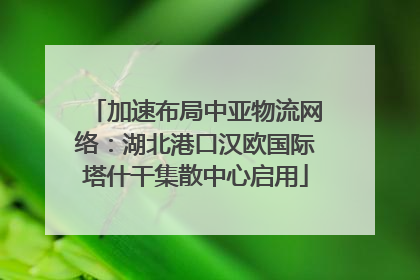 加速布局中亚物流网络：湖北港口汉欧国际塔什干集散中心启用