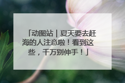 动图站｜夏天要去赶海的人注意啦！看到这些，千万别伸手！