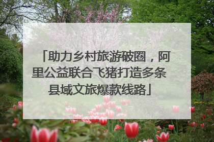 助力乡村旅游破圈，阿里公益联合飞猪打造多条县域文旅爆款线路