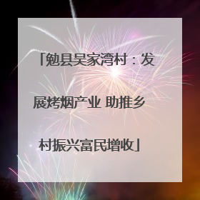 勉县吴家湾村：发展烤烟产业 助推乡村振兴富民增收