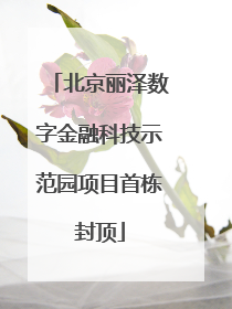 北京丽泽数字金融科技示范园项目首栋封顶