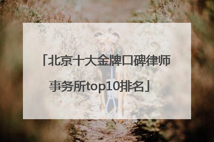 北京十大金牌口碑律师事务所top10排名