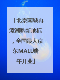 北京南城再添潮购新地标，全国最大京东MALL端午开业