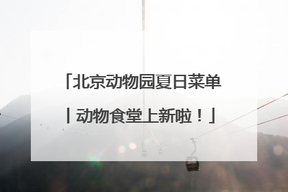 北京动物园夏日菜单丨动物食堂上新啦！
