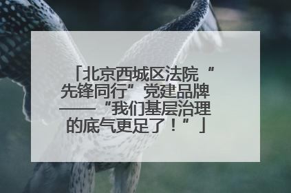 北京西城区法院“先锋同行”党建品牌——“我们基层治理的底气更足了！”