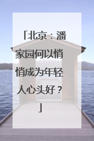 北京：潘家园何以悄悄成为年轻人心头好？