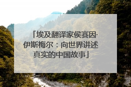 埃及翻译家侯赛因·伊斯梅尔：向世界讲述真实的中国故事