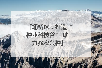 埇桥区：打造“种业科技谷” 助力强农兴种