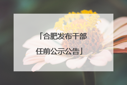 合肥发布干部任前公示公告