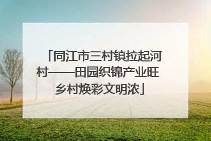 同江市三村镇拉起河村——田园织锦产业旺 乡村焕彩文明浓