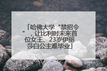 哈佛大学“禁招令”，让比利时未来首位女王、23岁伊丽莎白公主难毕业