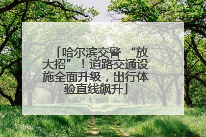哈尔滨交警 “放大招”！道路交通设施全面升级，出行体验直线飙升