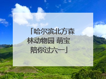 哈尔滨北方森林动物园 萌宝陪你过六一