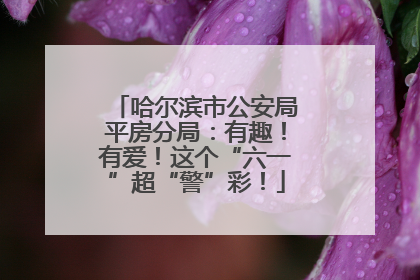 哈尔滨市公安局平房分局：有趣！有爱！这个“六一”超“警”彩！