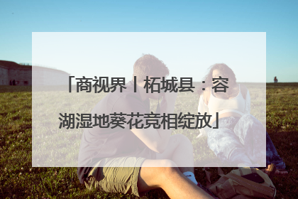 商视界丨柘城县：容湖湿地葵花竞相绽放