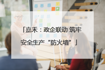 嘉禾：政企联动 筑牢安全生产“防火墙”