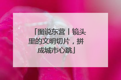 图说东营丨镜头里的文明切片，拼成城市心跳