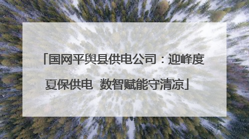 国网平舆县供电公司：迎峰度夏保供电  数智赋能守清凉