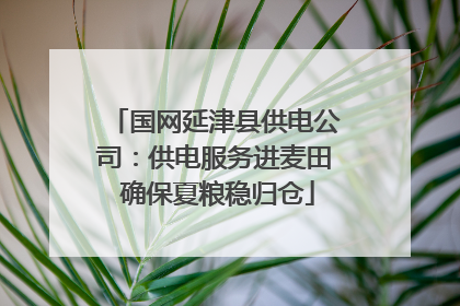 国网延津县供电公司：供电服务进麦田 确保夏粮稳归仓