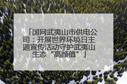 国网武夷山市供电公司：开展世界环境日主题宣传活动守护武夷山生态“高颜值”