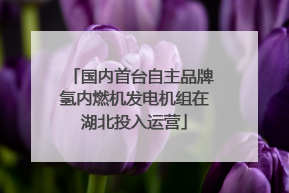 国内首台自主品牌氢内燃机发电机组在湖北投入运营