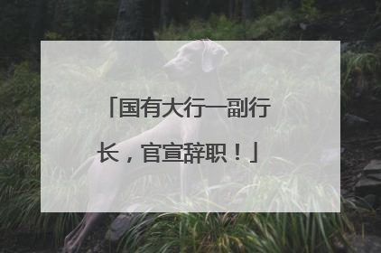 国有大行一副行长，官宣辞职！