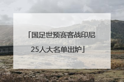 国足世预赛客战印尼25人大名单出炉