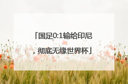 国足0:1输给印尼，彻底无缘世界杯