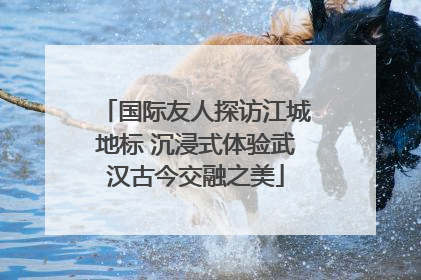 国际友人探访江城地标 沉浸式体验武汉古今交融之美