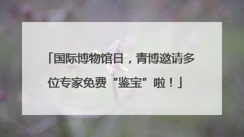 国际博物馆日，青博邀请多位专家免费“鉴宝”啦！