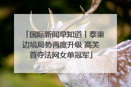 国际新闻早知道丨泰柬边境局势再度升级 高芙首夺法网女单冠军