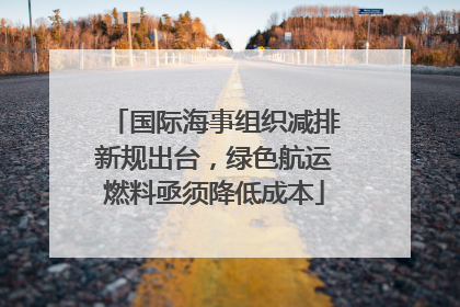 国际海事组织减排新规出台，绿色航运燃料亟须降低成本