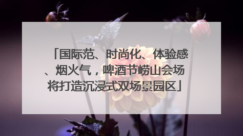 国际范、时尚化、体验感、烟火气，啤酒节崂山会场将打造沉浸式双场景园区