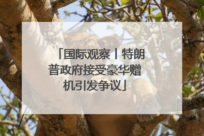 国际观察丨特朗普政府接受豪华赠机引发争议